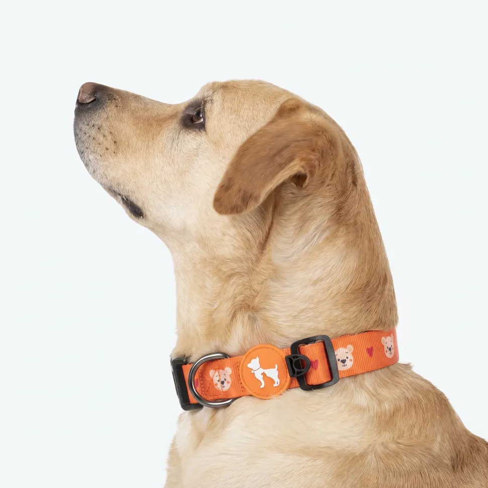 HUFT Teddy Collar For Dog - Red