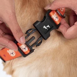 HUFT Teddy Collar For Dog - Red