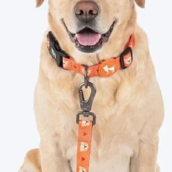 HUFT Teddy Leash For Dog - Red