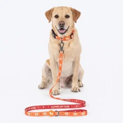 HUFT Teddy Leash For Dog - Red
