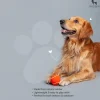 HUFT Tennis Ball For Dog (Set of 2)