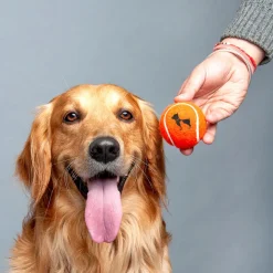 HUFT Tennis Ball For Dog (Set of 2)