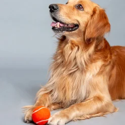 HUFT Tennis Ball For Dog (Set of 2)