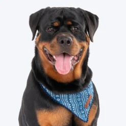 HUFT The Indian Collective Pankti Dog Bandana - Indigo