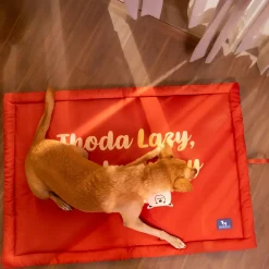 HUFT Thoda Lazy Thoda Crazy Mat For Dog - Rust