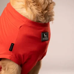 HUFT Treats And Chill T-Shirt For Dog - Deep Coral