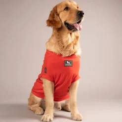 HUFT Treats And Chill T-Shirt For Dog - Deep Coral