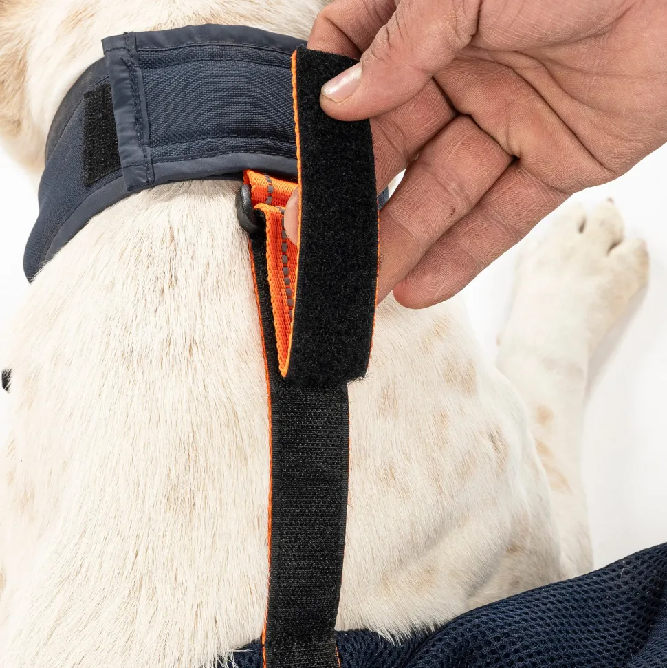 HUFT Trooper Drag Bag Harness For Dog - Navy Blue
