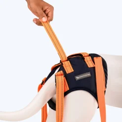 HUFT Trooper Hind Leg Support Lift Harness For Dogs - Navy Blue - Set Of 2