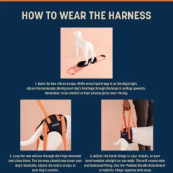 HUFT Trooper Hind Leg Support Lift Harness For Dogs - Navy Blue - Set Of 2