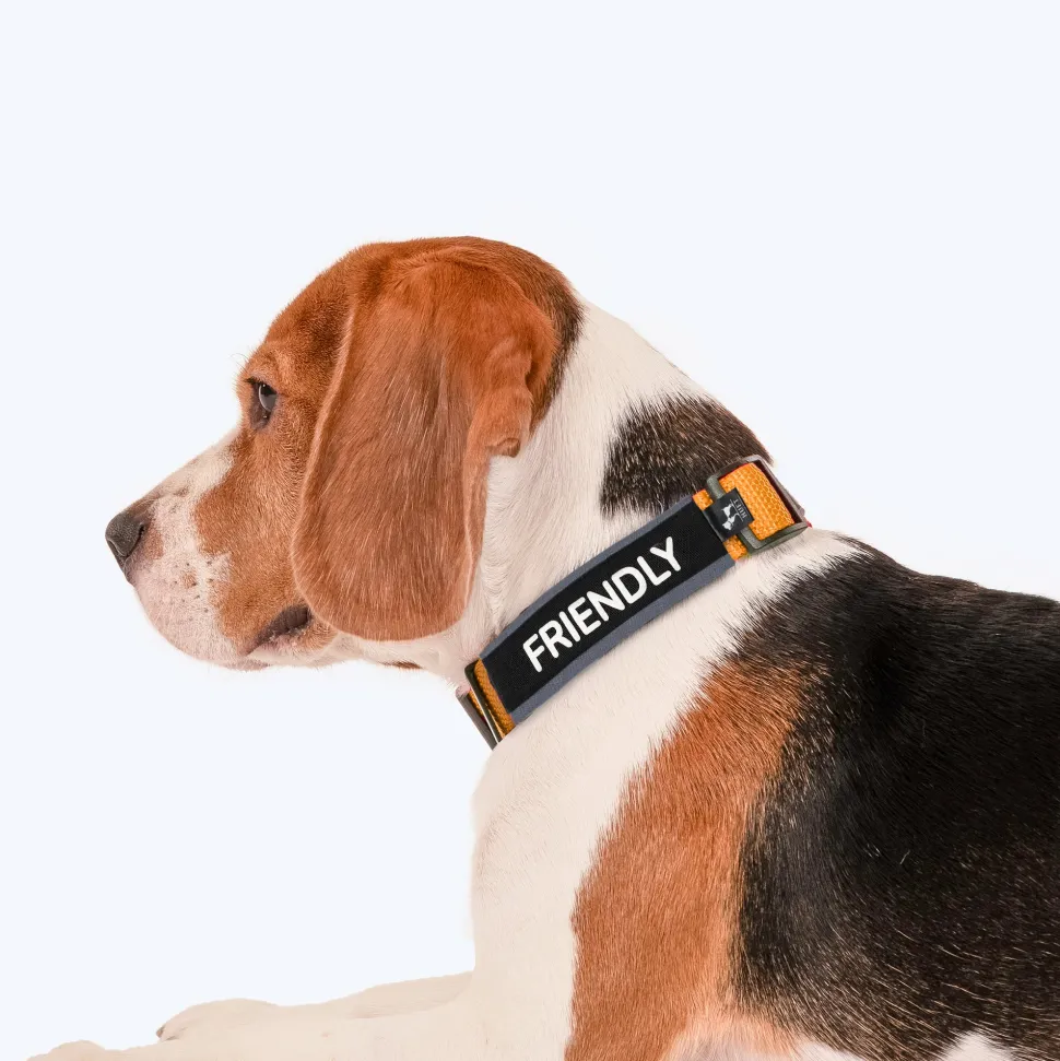 HUFT Trooper Walking Aid Leash & Collar Insert (Friendly)