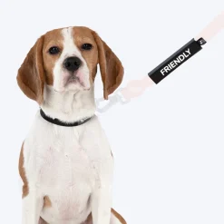 HUFT Trooper Walking Aid Leash & Collar Insert (Friendly)