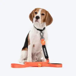 HUFT Trooper Walking Aid Leash & Collar Insert (Friendly)