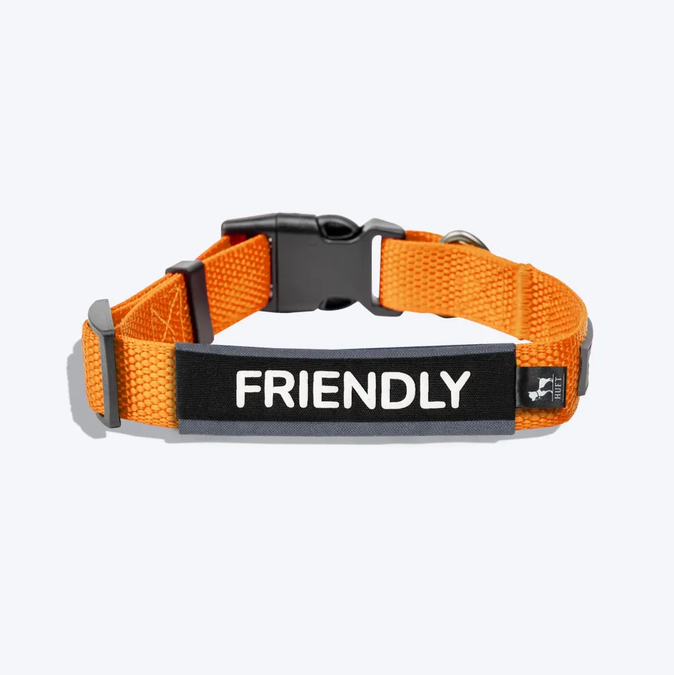 HUFT Trooper Walking Aid Leash & Collar Insert (Friendly)