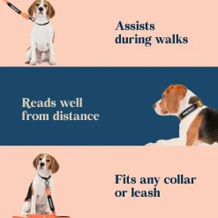 HUFT Trooper Walking Aid Leash & Collar Insert (Friendly)