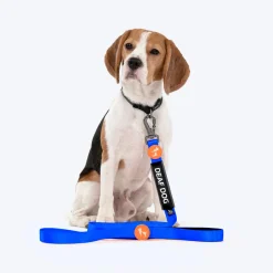 HUFT Trooper Walking Aid Leash & Collar Insert (Deaf Dog)