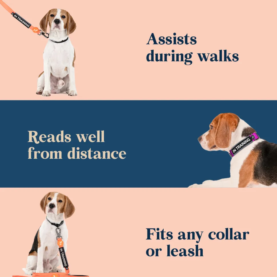 HUFT Trooper Walking Aid Leash & Collar Insert (In Training)