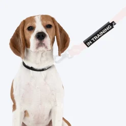 HUFT Trooper Walking Aid Leash & Collar Insert (In Training)
