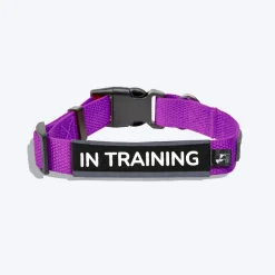 HUFT Trooper Walking Aid Leash & Collar Insert (In Training)