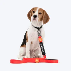 HUFT Trooper Walking Aid Leash & Collar Insert (Anxious)
