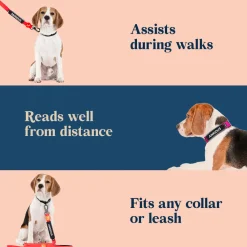 HUFT Trooper Walking Aid Leash & Collar Insert (Anxious)