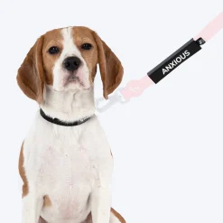 HUFT Trooper Walking Aid Leash & Collar Insert (Anxious)