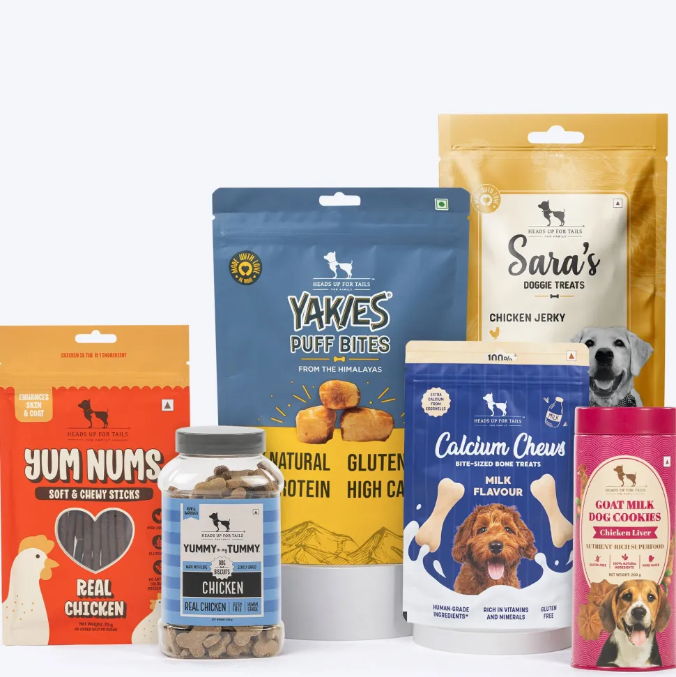 HUFT Try Everything Box For Dog
