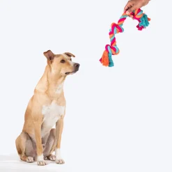 HUFT Tuggables 3 Knots Rope Toy For Dog - Multicolor