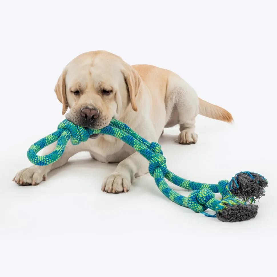 HUFT Tuggables Mighty Knots Rope Toy For Dog - Blue & Green