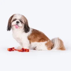 HUFT Tuggables Rope Toy For Dog- Maroon & Orange