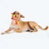 HUFT Tuggables Rope Toy For Dog - Multicolor