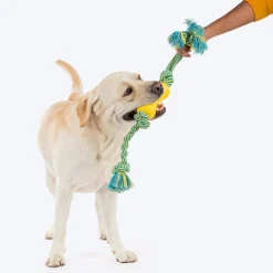 HUFT Tuggables Silly Strings Rope Toy For Dog - Blue & Yellow