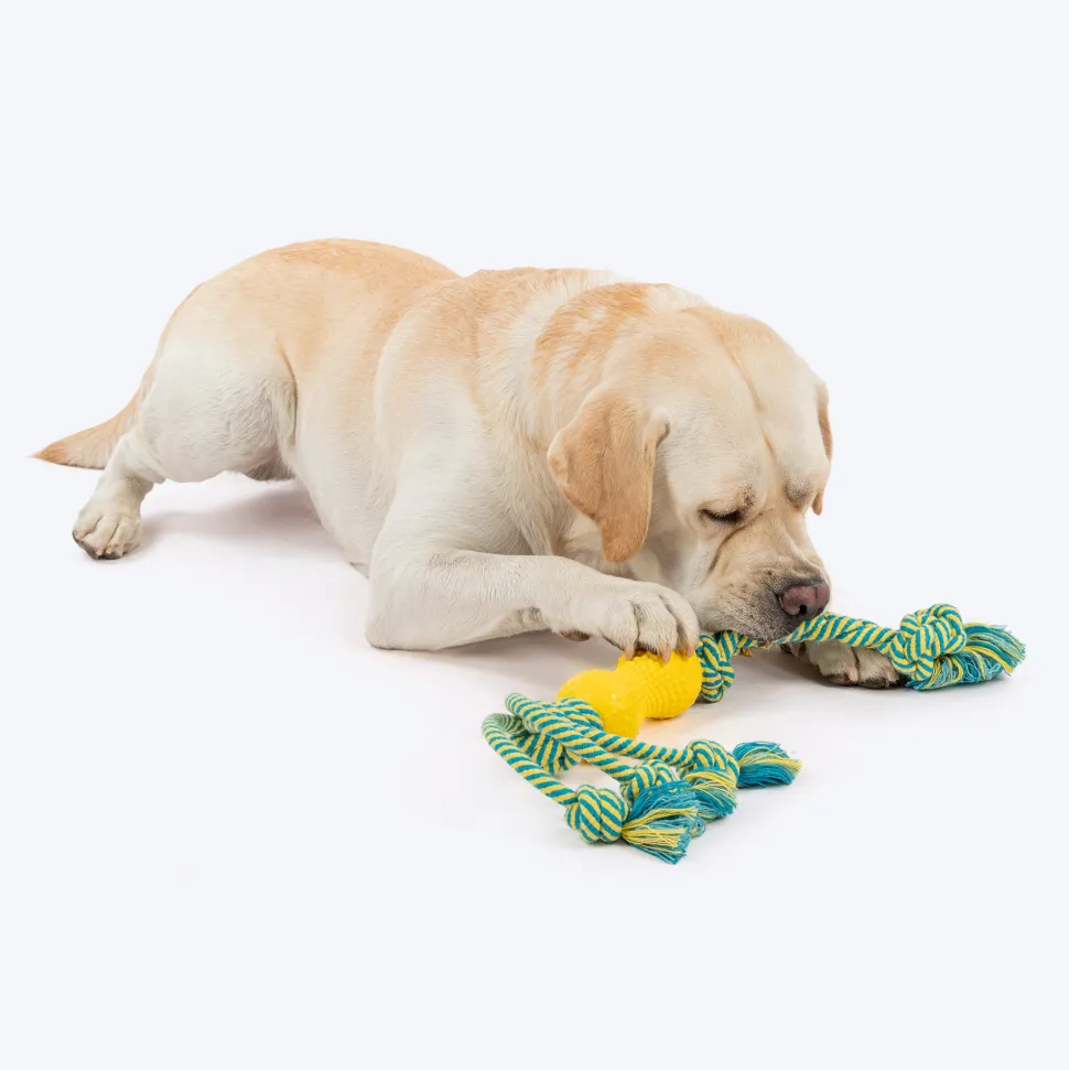 HUFT Tuggables Silly Strings Rope Toy For Dog - Blue & Yellow
