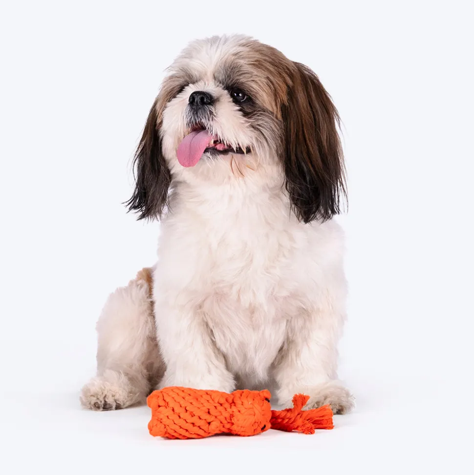 HUFT Tuggables Squirrel Rope Toy For Dog - Orange