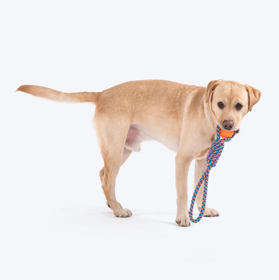 HUFT Tuggables Tug Twister Rope Toy For Dog - Blue & Orange