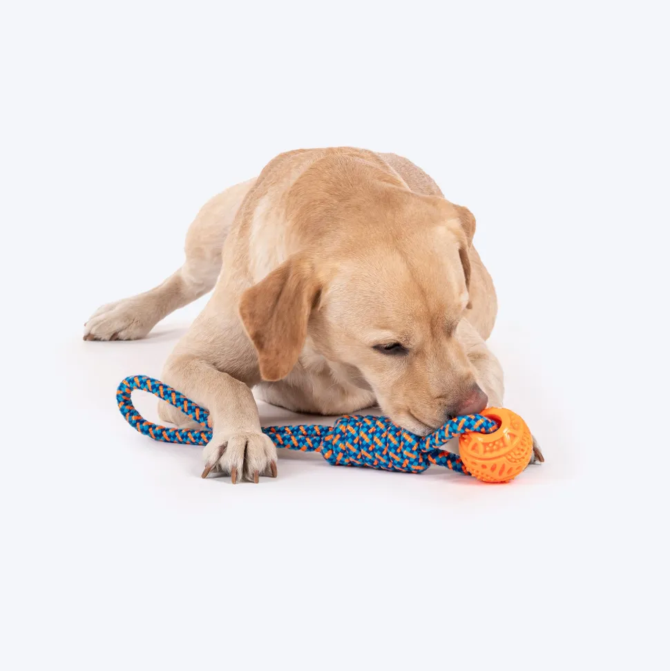 HUFT Tuggables Tug Twister Rope Toy For Dog - Blue & Orange