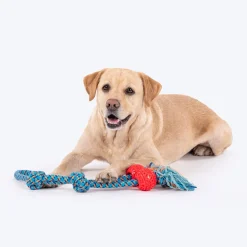 HUFT Tuggables Twin Tossers Rope Toy For Dog - Blue & Red