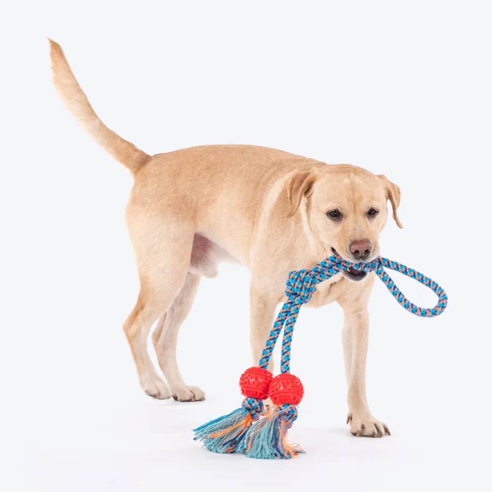HUFT Tuggables Twin Tossers Rope Toy For Dog - Blue & Red