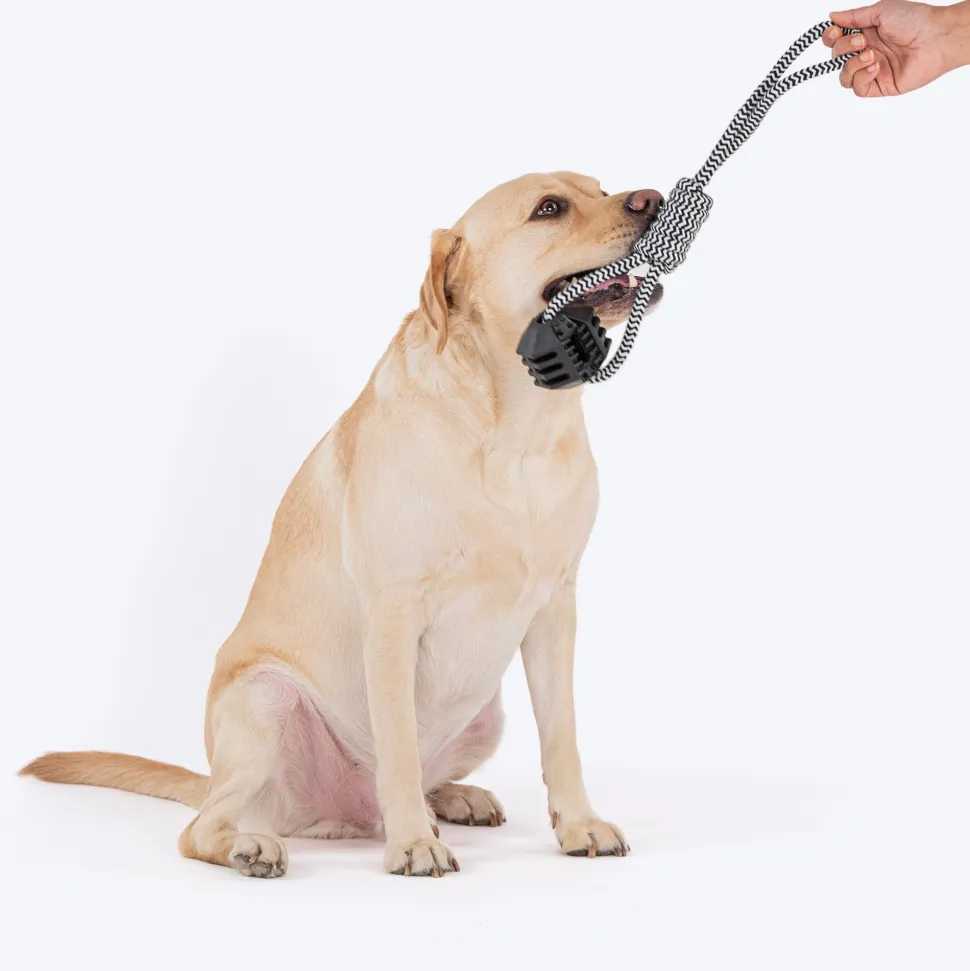 HUFT Tug Master Rope Toy For Dogs