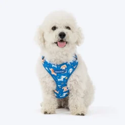 HUFT Twinkle Tails Adjustable Harness For Dog - Blue