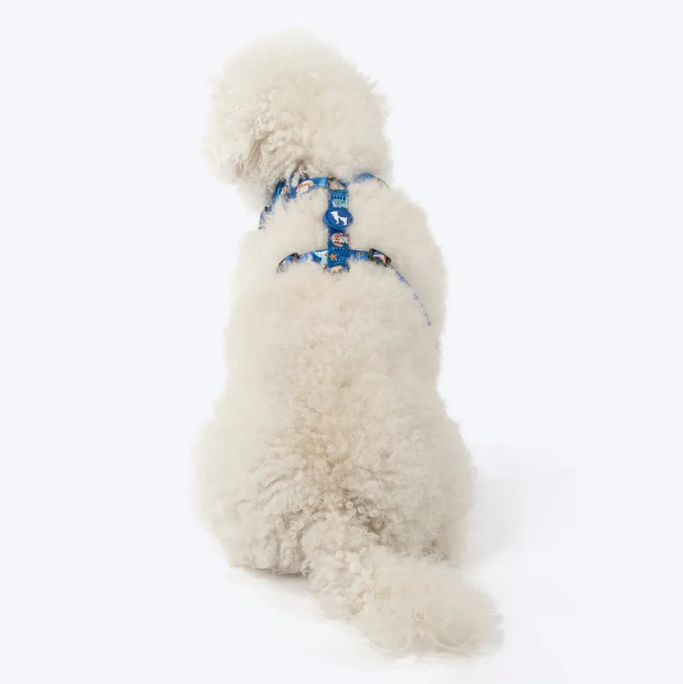 HUFT Twinkle Tails Adjustable Harness For Dog - Blue