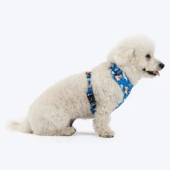 HUFT Twinkle Tails Adjustable Harness For Dog - Blue