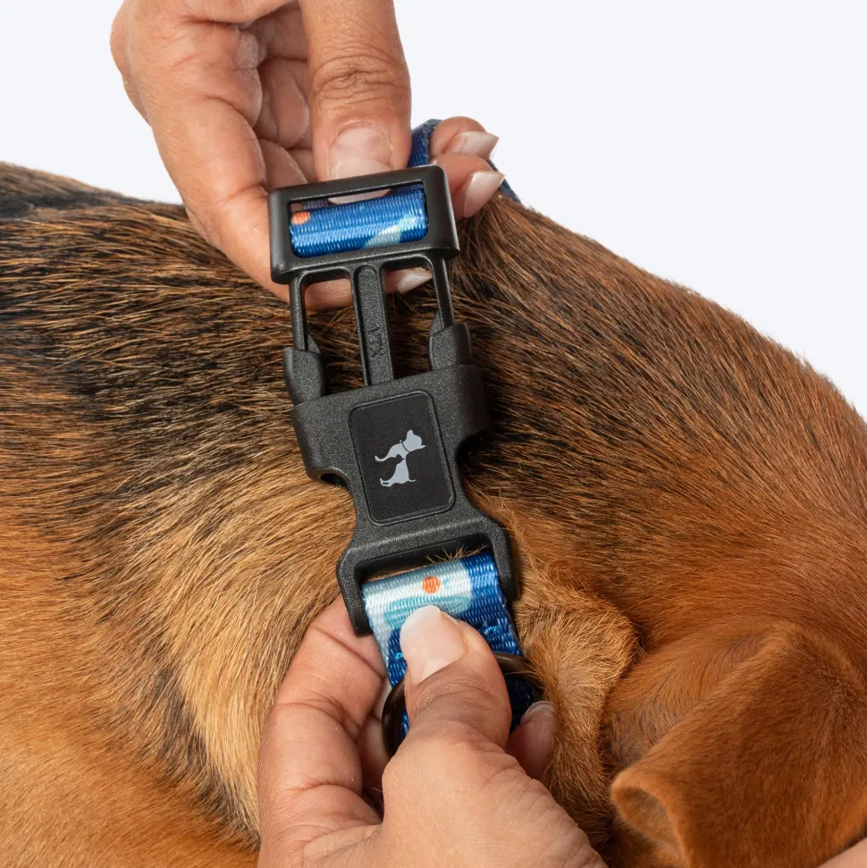 HUFT Twinkle Tails Collar For Dog - Blue