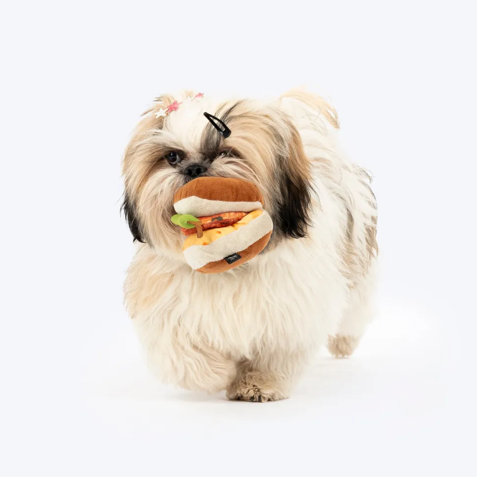 HUFT Vada-Paw Crinkly Dog Toy - Multicolor