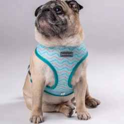 HUFT Verdant Reversible Printed Dog Harness