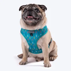 HUFT Verdant Reversible Printed Dog Harness