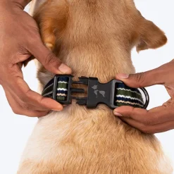 HUFT Vintage Dog Collar - Navy Blue & Green