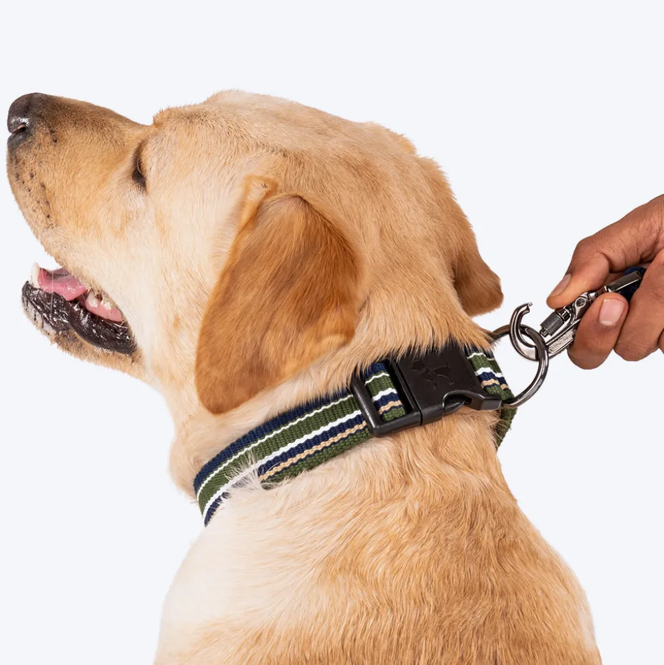 HUFT Vintage Dog Collar - Navy Blue & Green