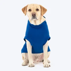 HUFT VIP T-shirts For Dog - Blue