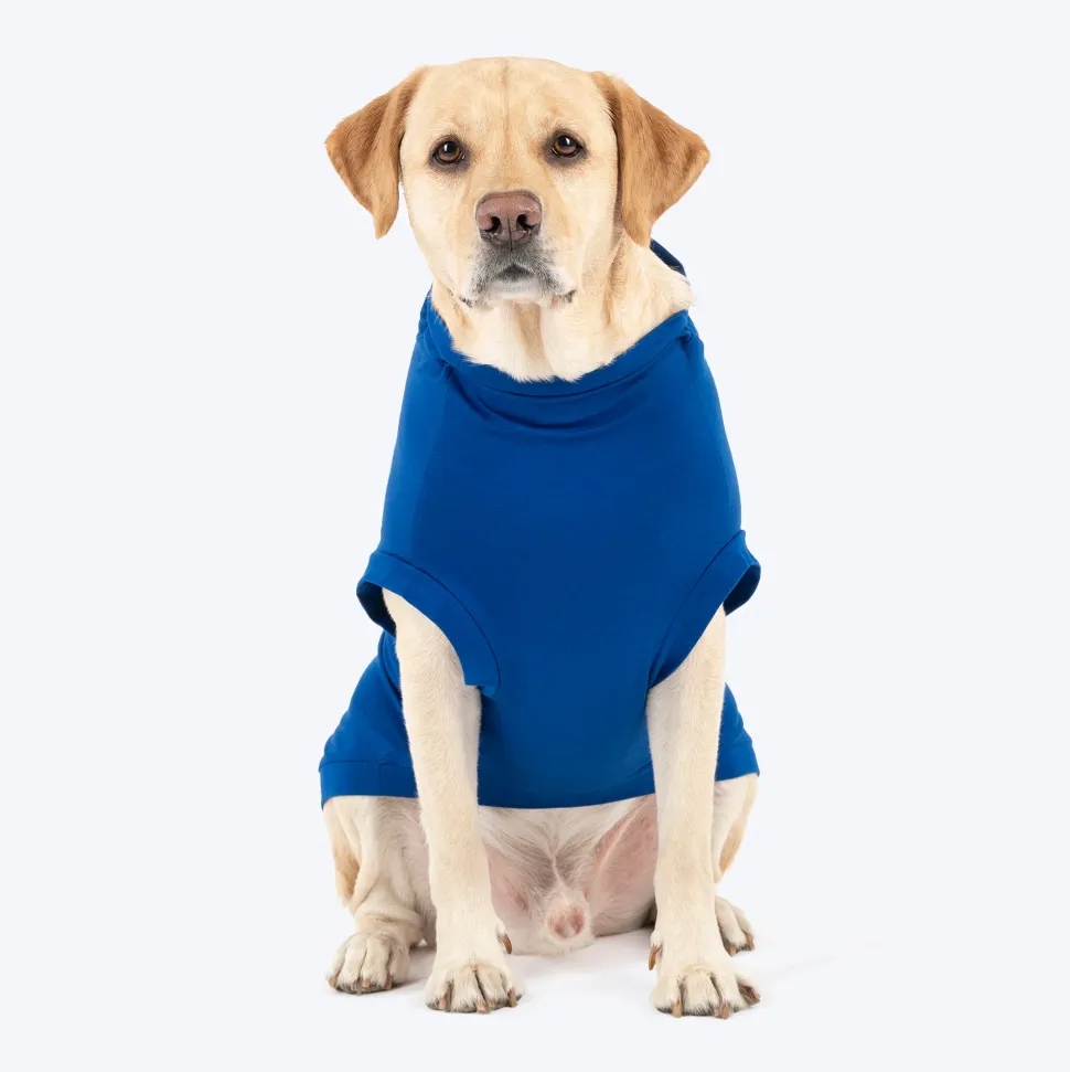 HUFT VIP T-shirts For Dog - Blue